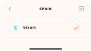 Spain (Bizum)