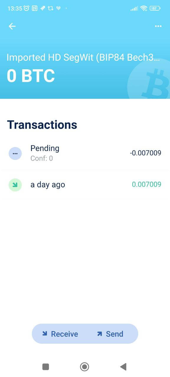 4. Verify you see correct balance transaction history