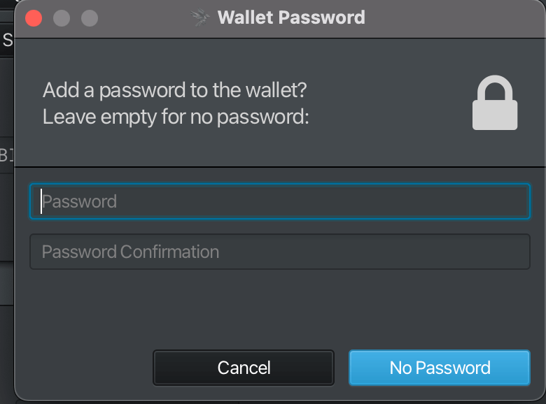 6. You can choose to encrypt your wallet with an optional password